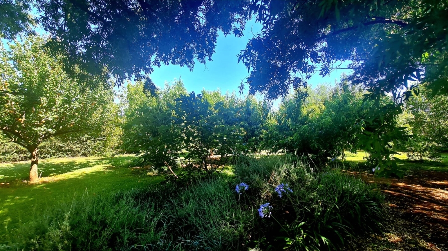 Commercial Property for Sale in Bainsvlei Free State